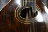 1920s Gibson H-1 Mandola