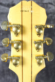 2005 Epiphone Sheraton II Natural