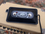 Peavey Classic 20 Head