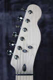 2020 Squier Paranormal Telecaster Thinline