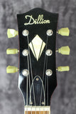 Dillion Les Paul Copy