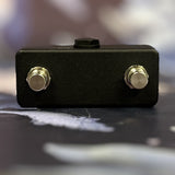 Unknown 2 button Tap Tempo Switch 1 Used