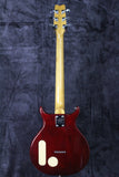 Washburn T-Bird DL Sunburst
