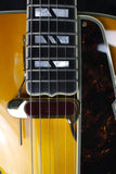 D'Angelico Excel Style B