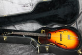 Gibson ES-125C 1966