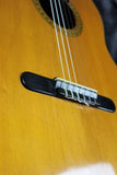 1969 Martin N-20 *Willie Nelson-Trigger*