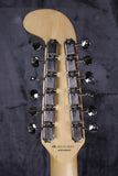 2019 Fender Alternate Reality Electric XII 12-String